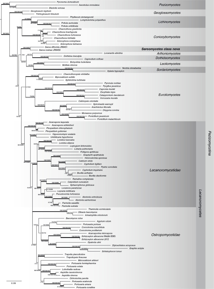 Fig. 3.