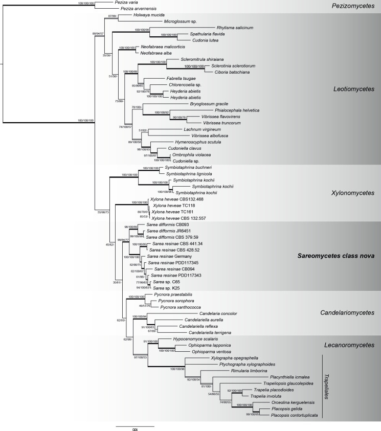 Fig. 2.