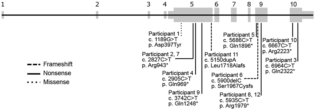 Figure 1: