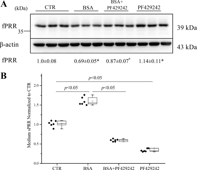 Fig. 11.