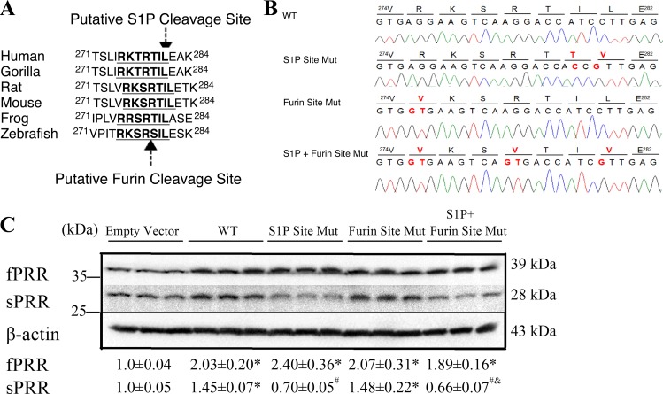 Fig. 10.