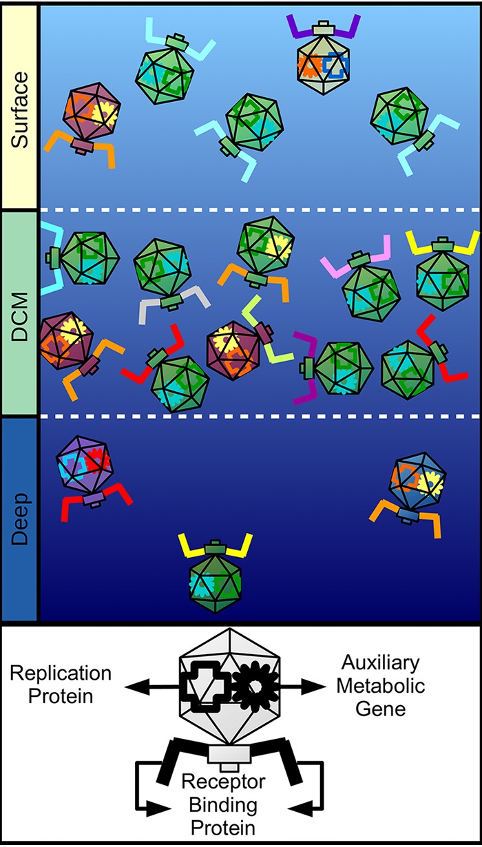 FIG 6