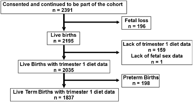 FIGURE 1