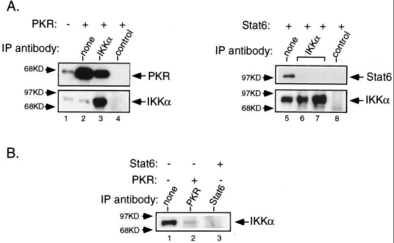 FIG. 7