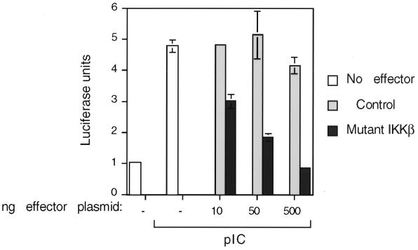 FIG. 8