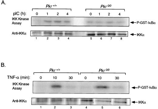 FIG. 6