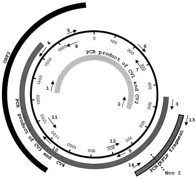 FIG. 1