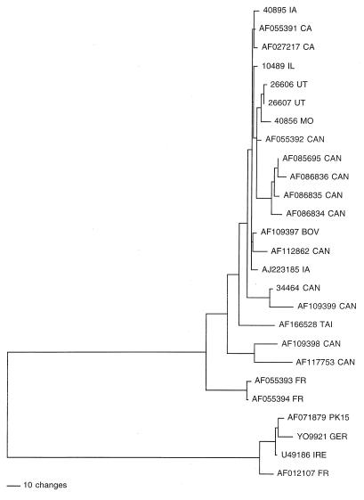 FIG. 4