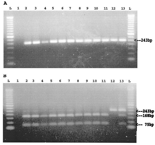 FIG. 5