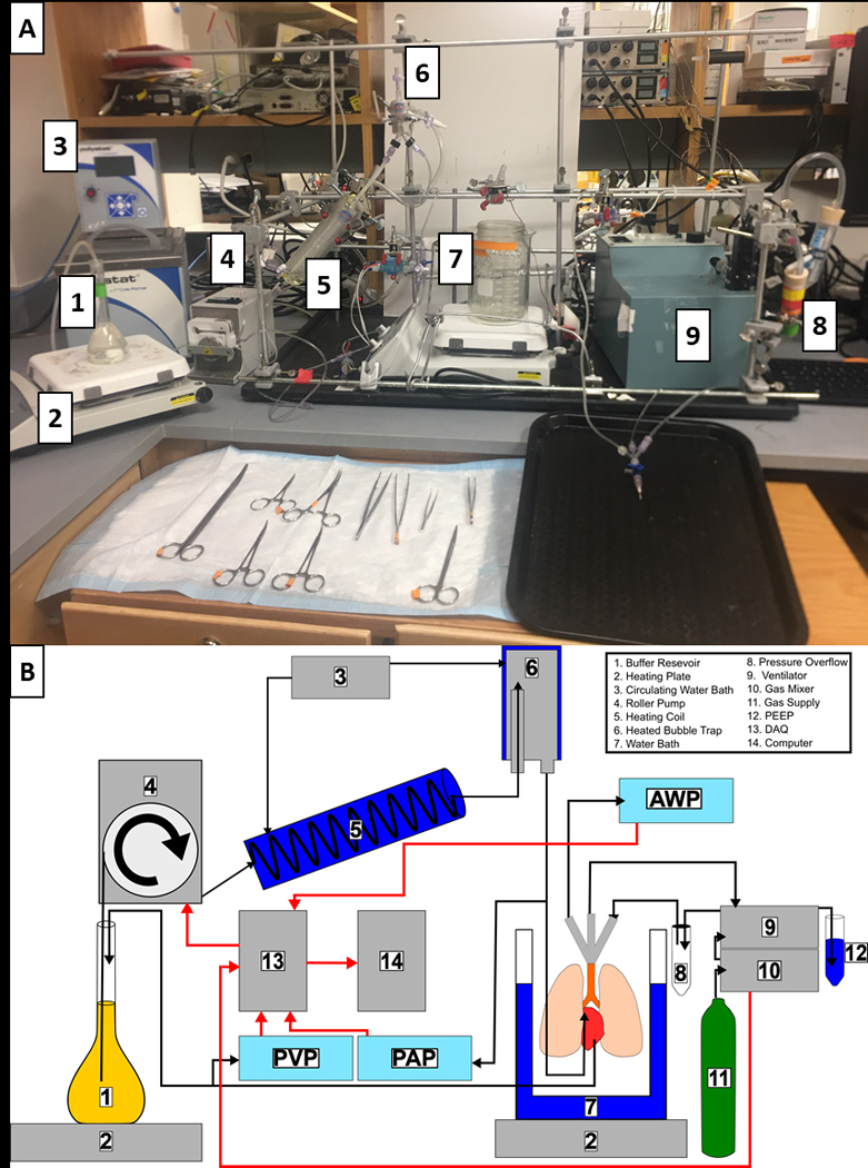 Figure 1: