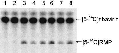 FIG. 2.