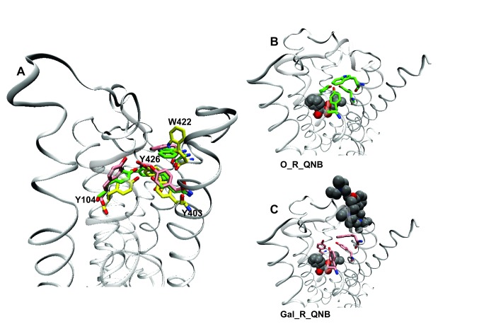 Figure 5.