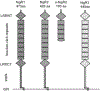 Fig. 1.