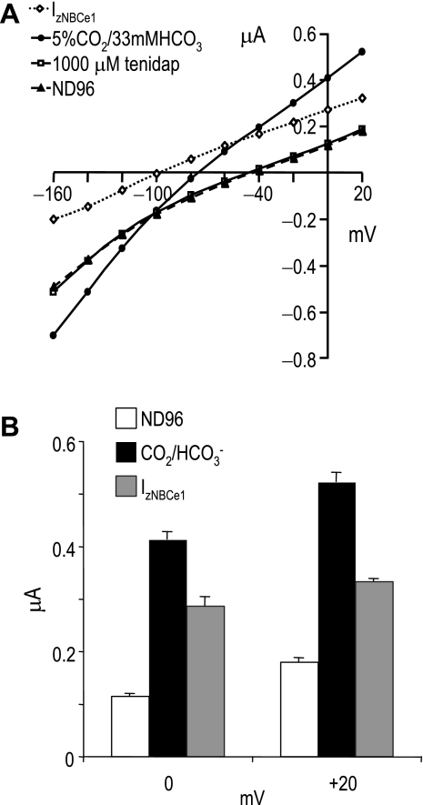 Fig. 9.