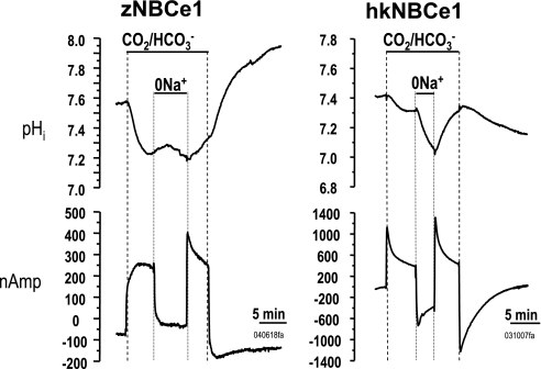 Fig. 6.