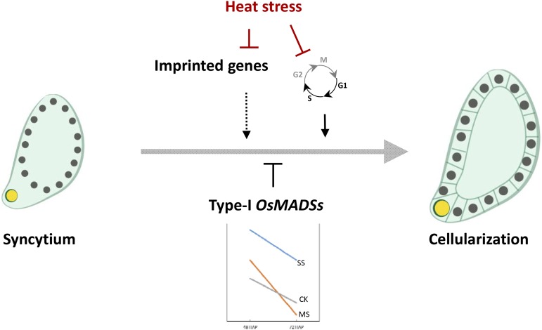 Figure 10.