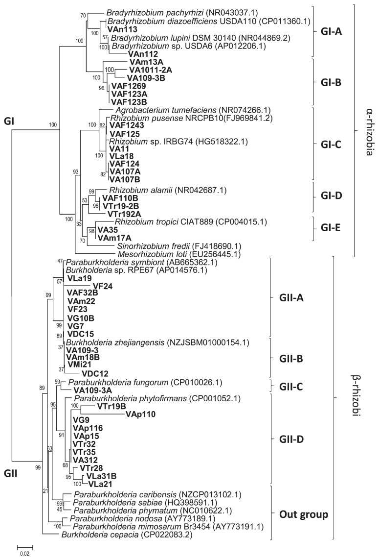 Fig. 2