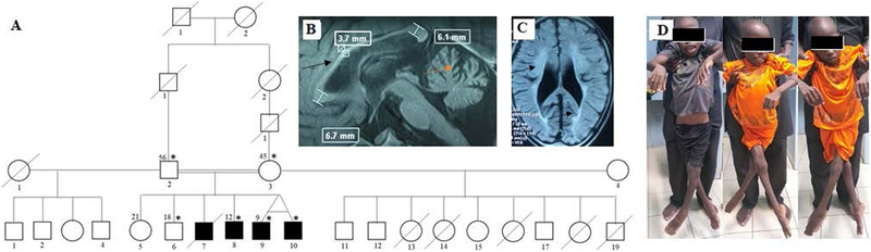 Figure 1: