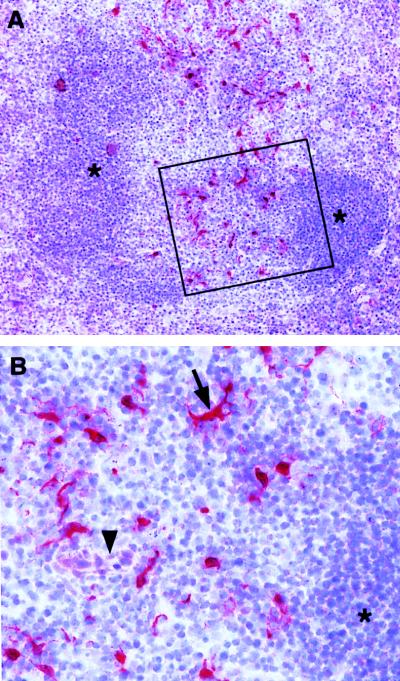 FIG. 1