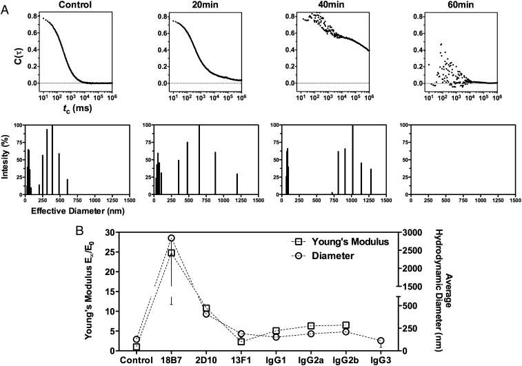 FIGURE 4.