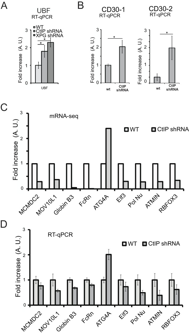 Figure 5—figure supplement 1.