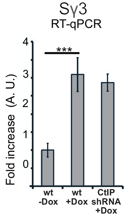 Figure 6—figure supplement 1.