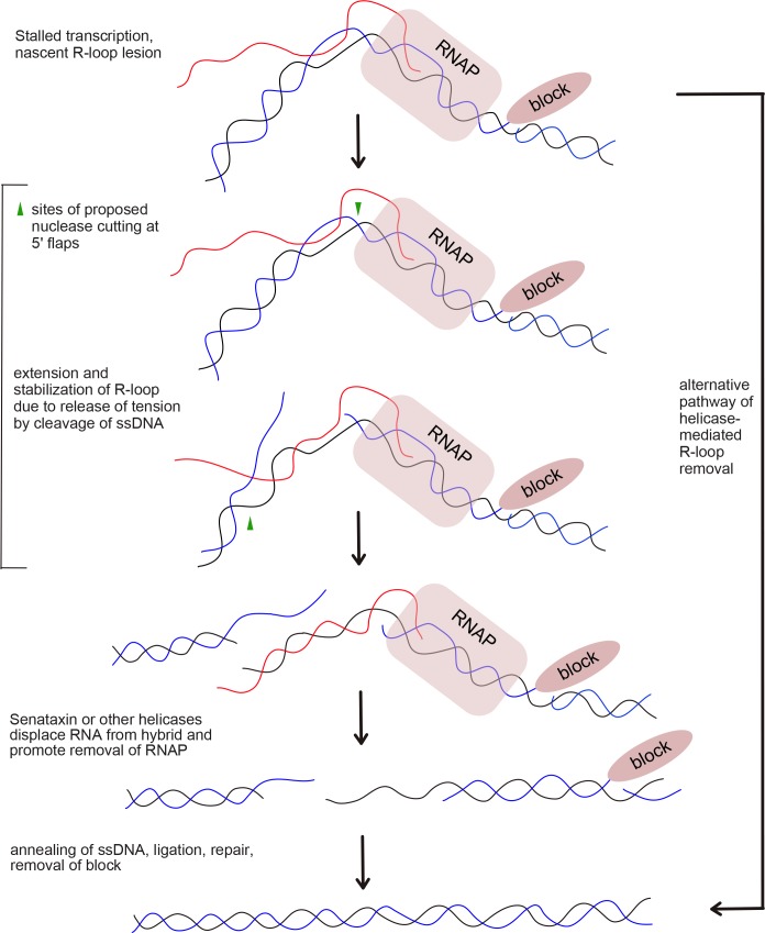 Figure 7.