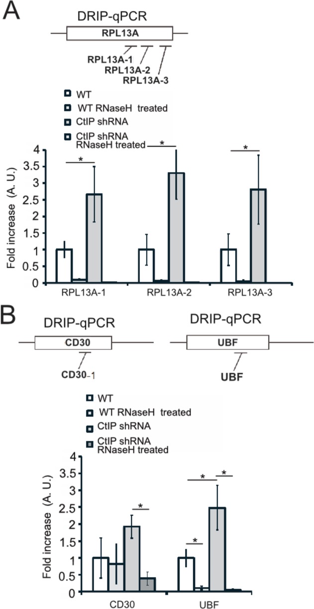 Figure 6—figure supplement 3.