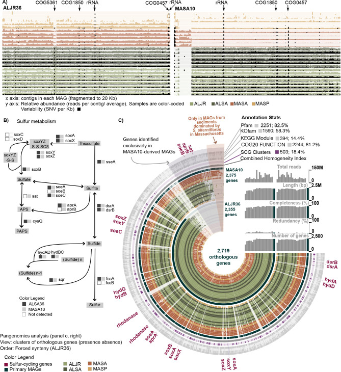 Fig 6