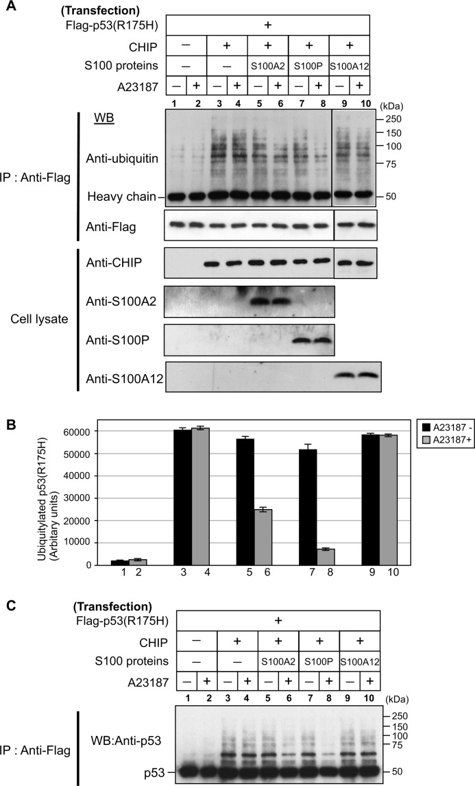 FIGURE 7.