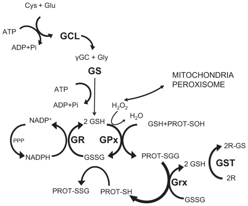 Fig. 1