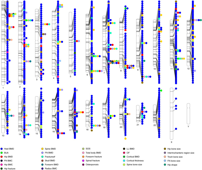 Fig. 2