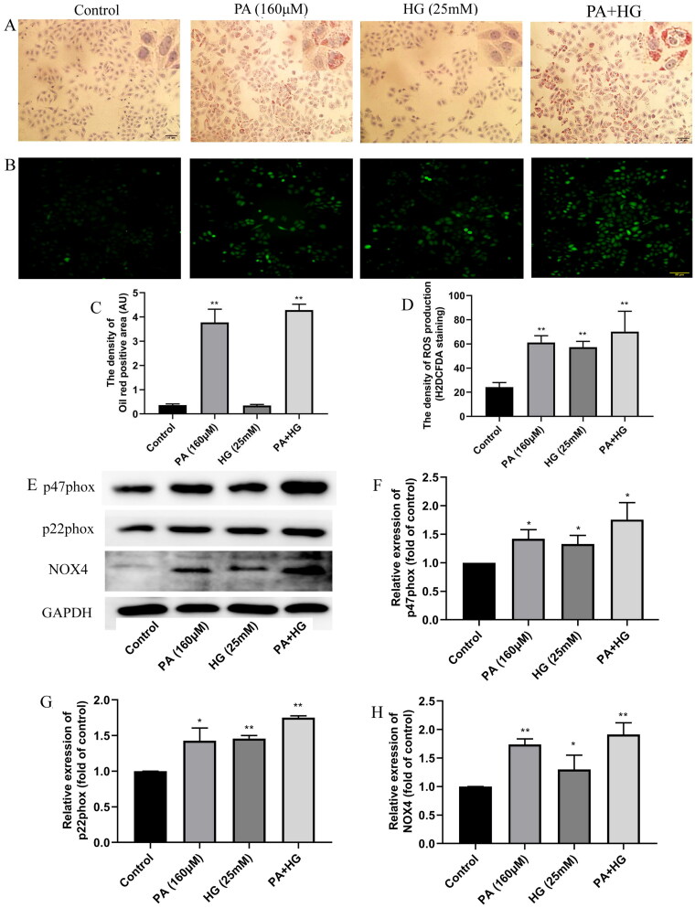 Figure 6.