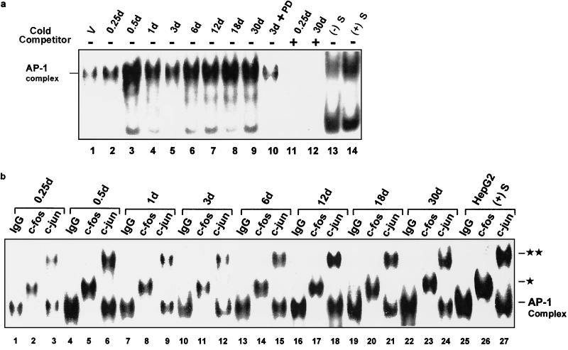 FIG. 6