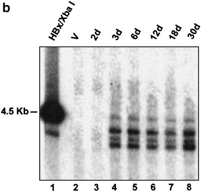 FIG. 8