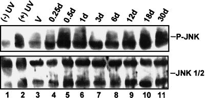 FIG. 7