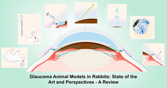 graphic file with name AME2-8-429-g004.jpg