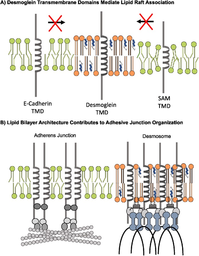 FIGURE 9: