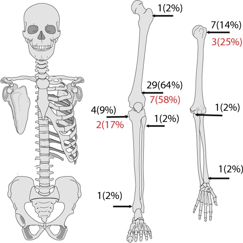 Fig. 4