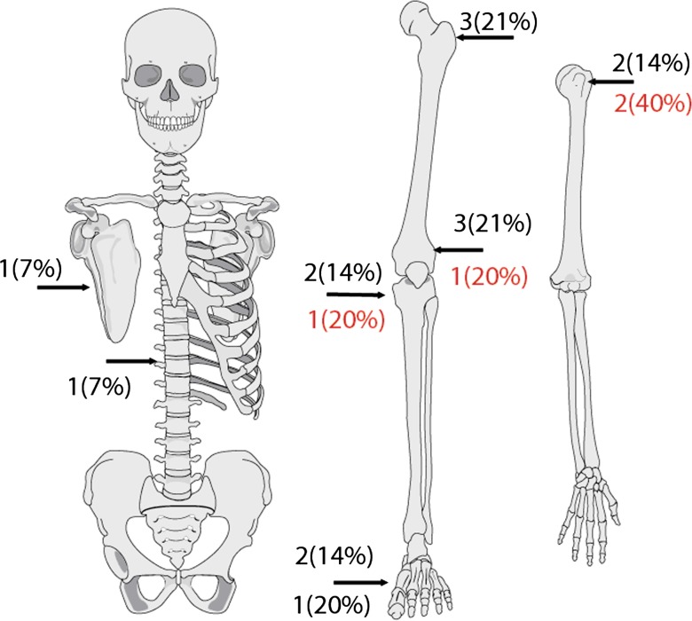 Fig. 5