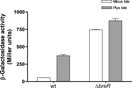 FIG. 7.