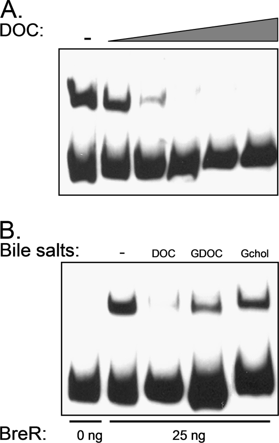 FIG. 10.