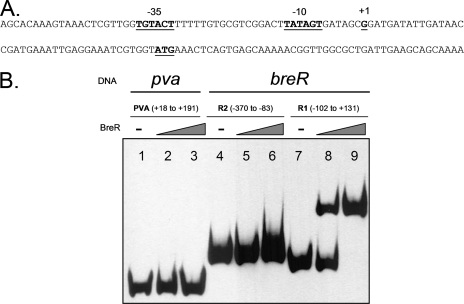 FIG. 8.