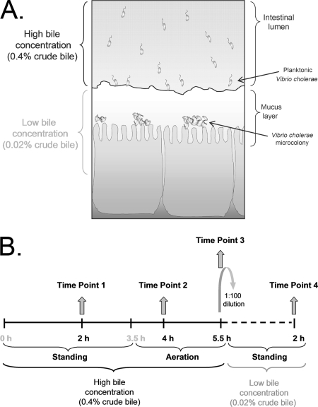 FIG. 1.