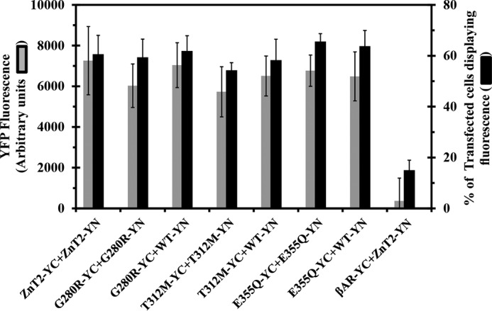 FIGURE 1.