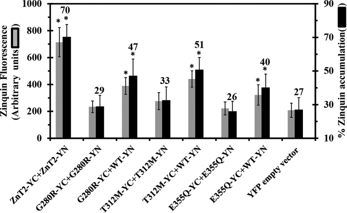 FIGURE 4.