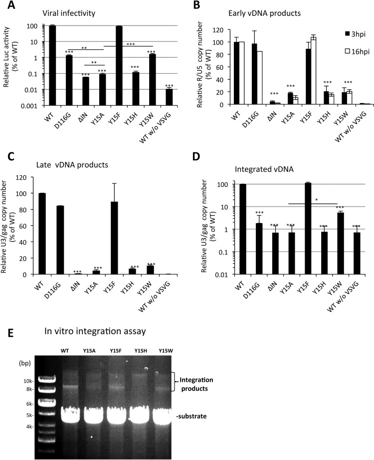 FIG 2