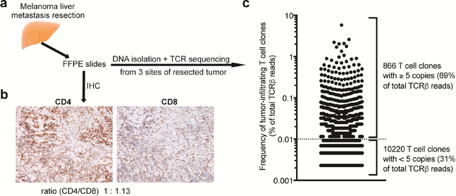 Fig. 2: