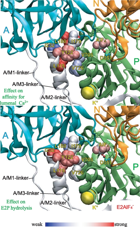 FIGURE 10.