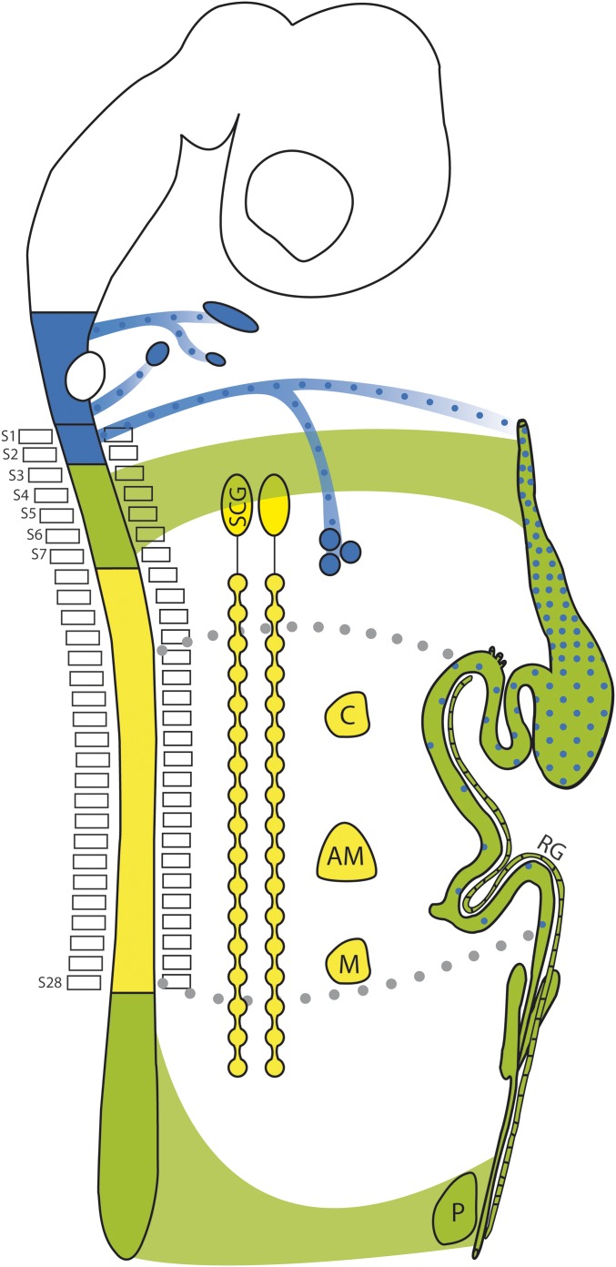 Fig. 5.